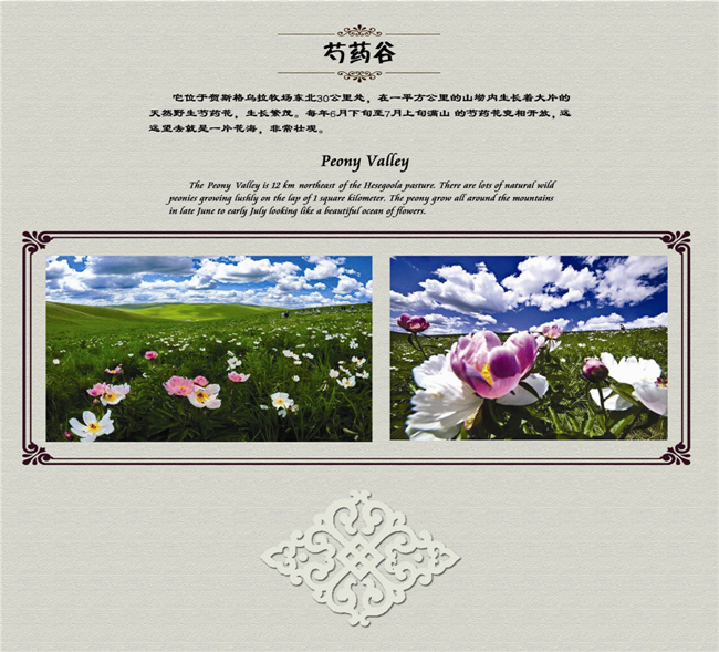 烏拉蓋芍藥谷