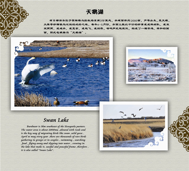 烏拉蓋天鵝湖