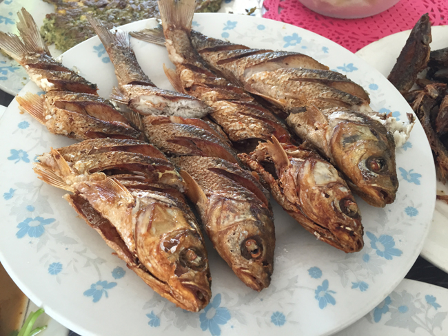 達里湖全魚宴