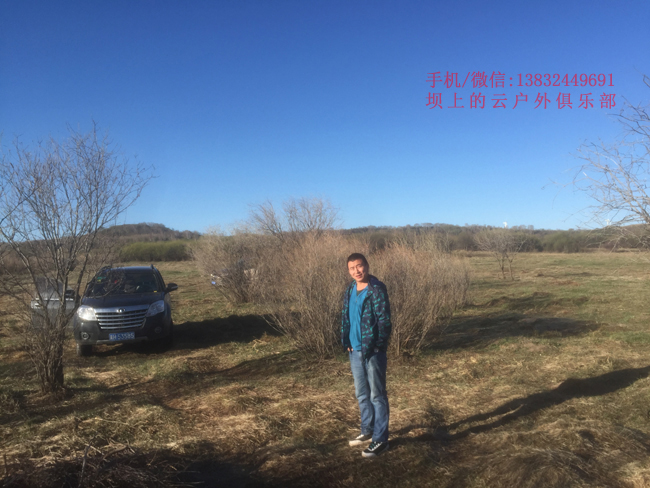 壩上黑琴雞拍攝