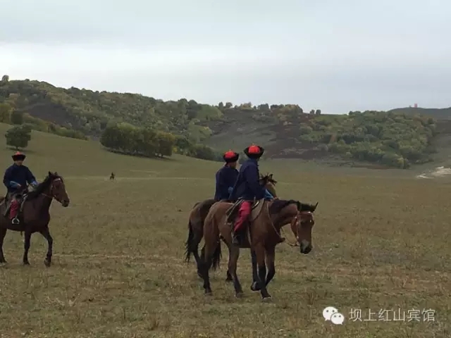 壩上如懿傳外景地