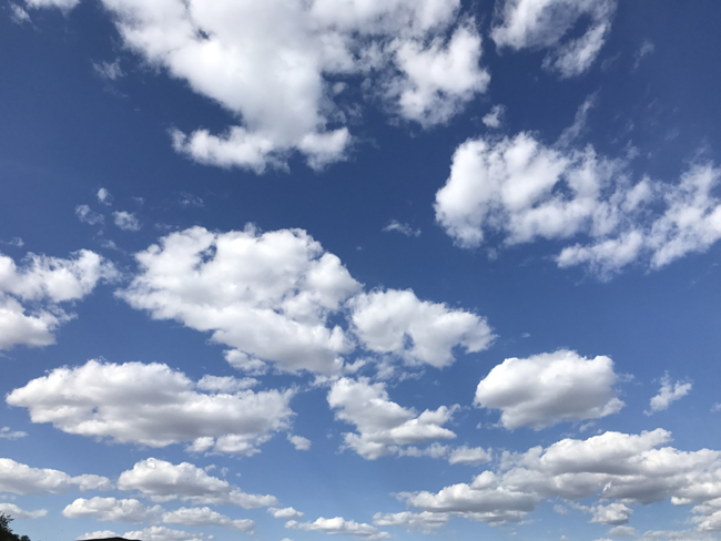 烏蘭布統旅游