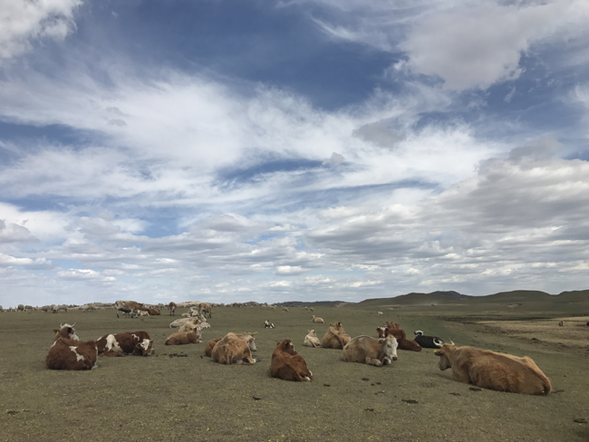 烏蘭布統旅游