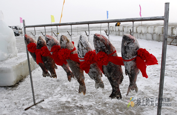 達里湖捕魚節