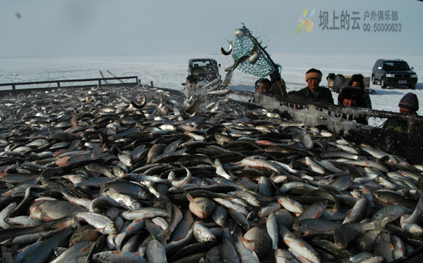 達里湖捕魚節