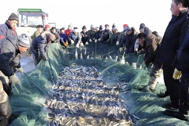 達里湖捕魚節