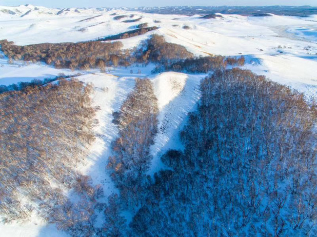 壩上雪景