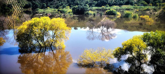 國家一號風景大道